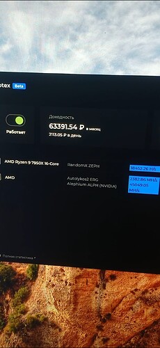 1000011816